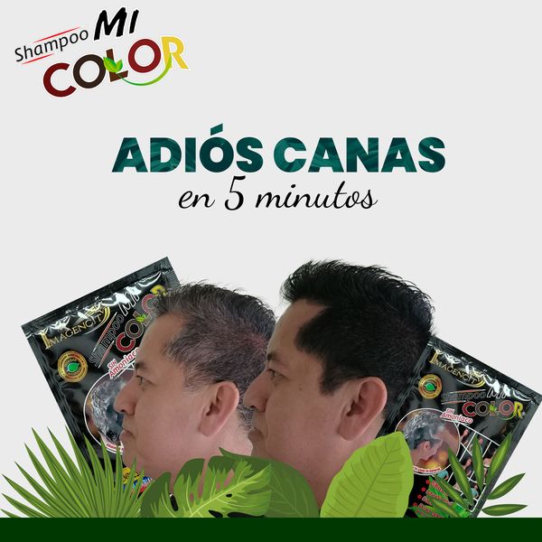 Shampoo cubre canas