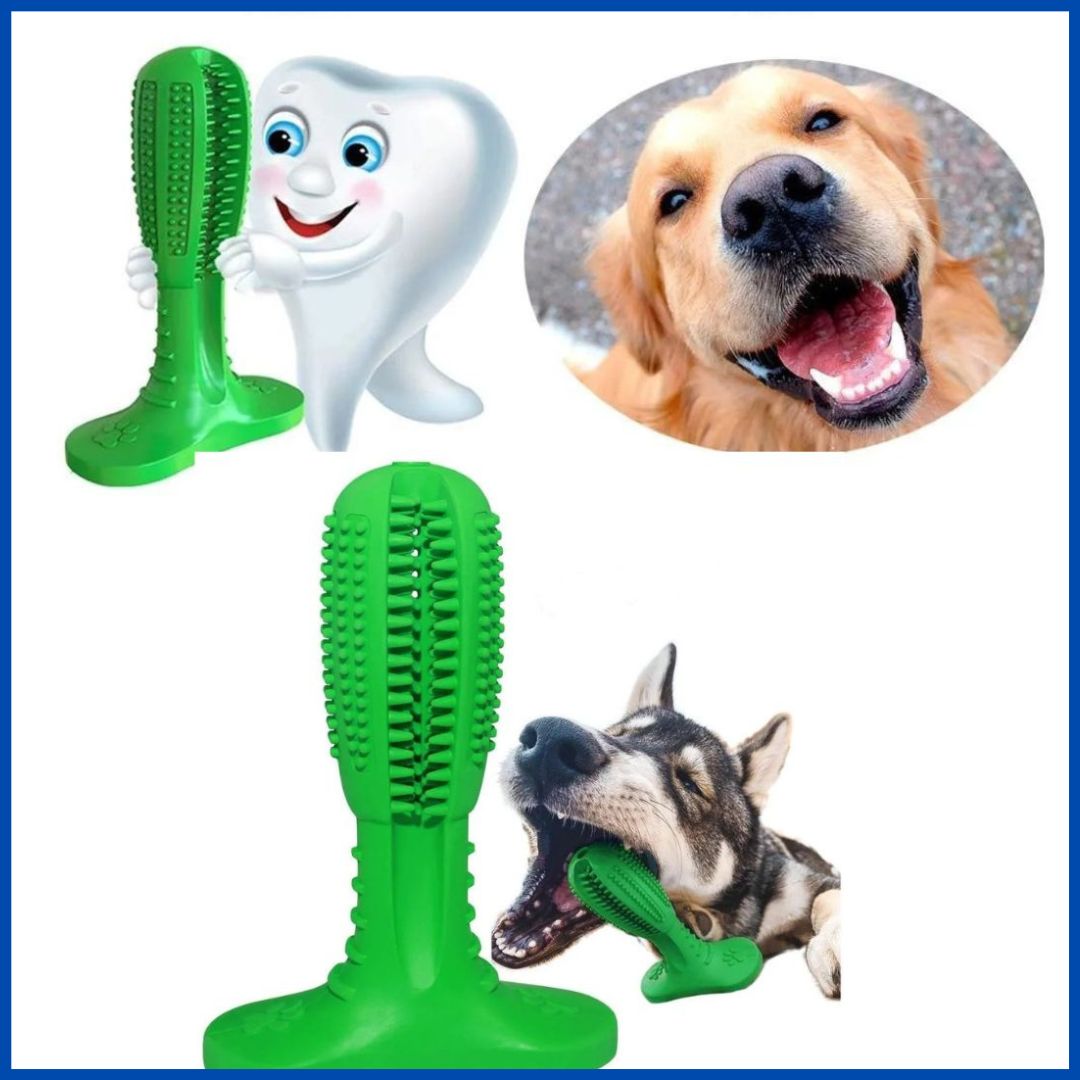 🐶 CEPILLO PARA MASCOTAS QUITA SARRO 🐶🦷