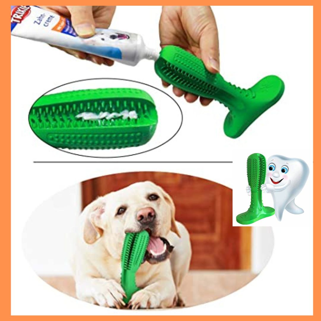 🐶 CEPILLO PARA MASCOTAS QUITA SARRO 🐶🦷