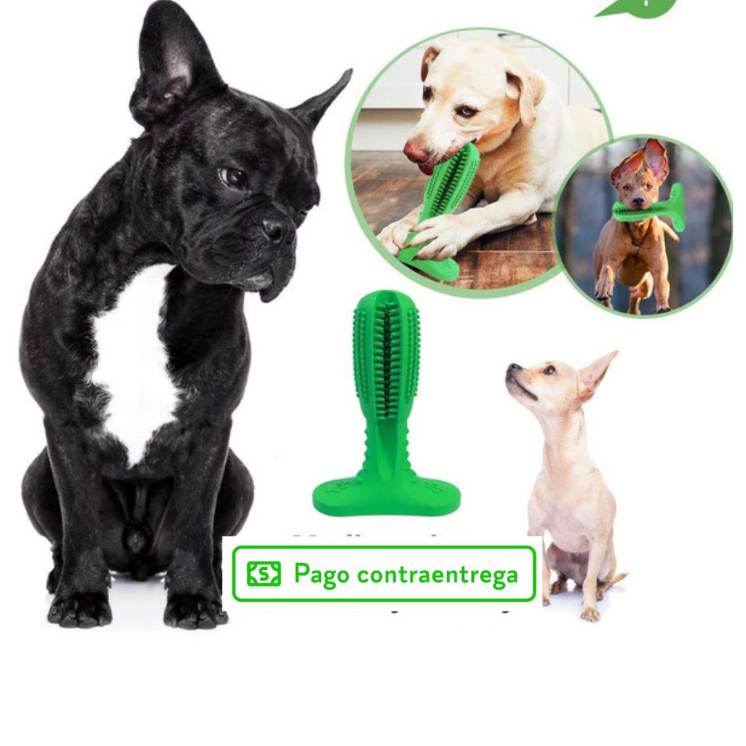 🐶 CEPILLO PARA MASCOTAS QUITA SARRO 🐶🦷