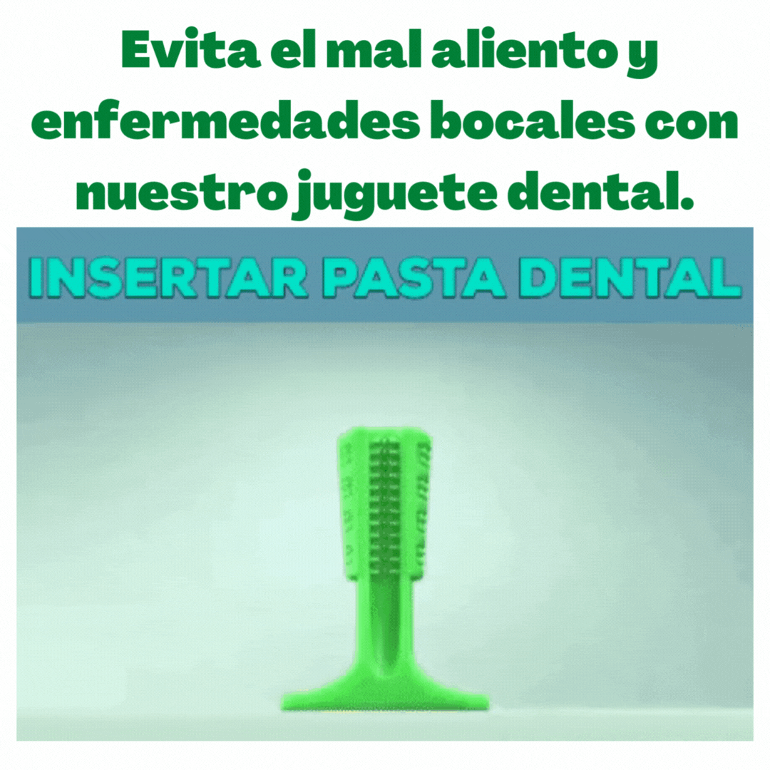 🐶 CEPILLO PARA MASCOTAS QUITA SARRO 🐶🦷