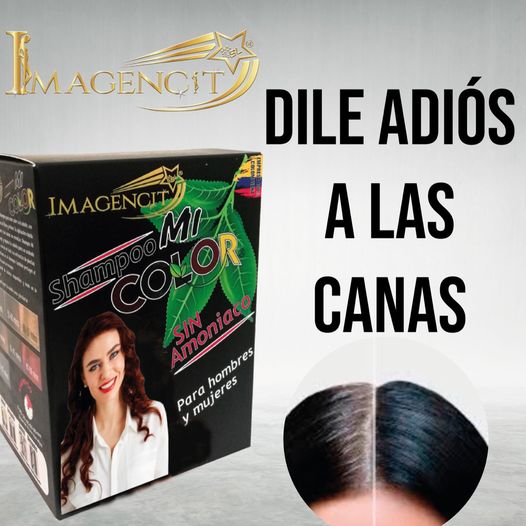 Shampoo cubre canas