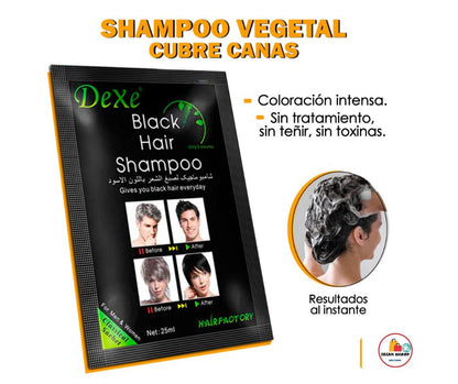 💆‍♀️ SHAMPOO CUBRE CANAS (Vegetal)